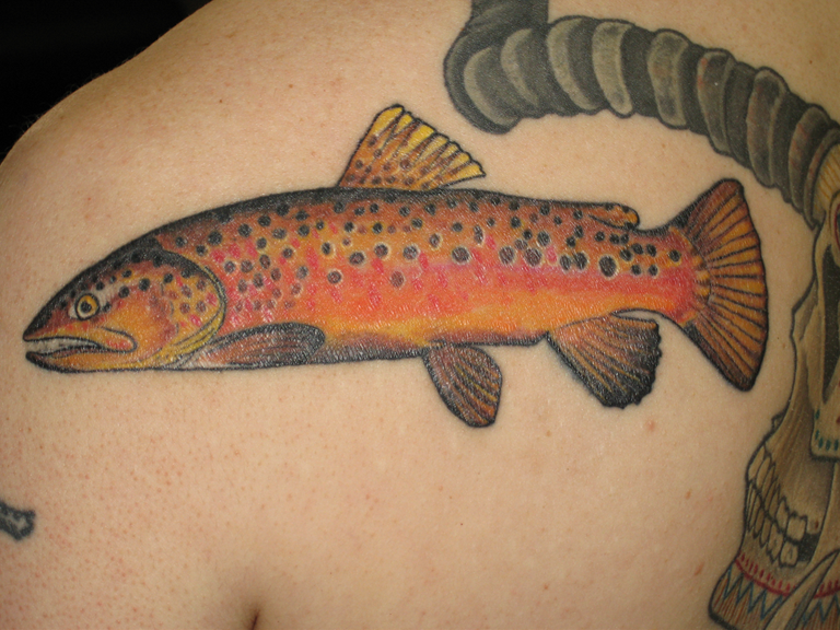 Color Tattoo